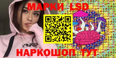 МДПВ Шебекино