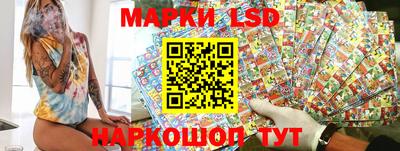 индика Шелехов