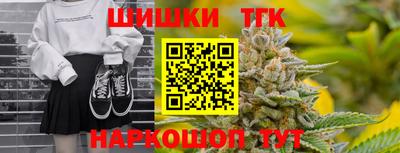 индика Шелехов