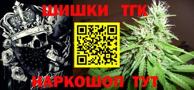 индика Шелехов