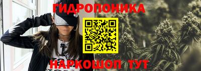 индика Шелехов