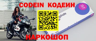 индика Шелехов