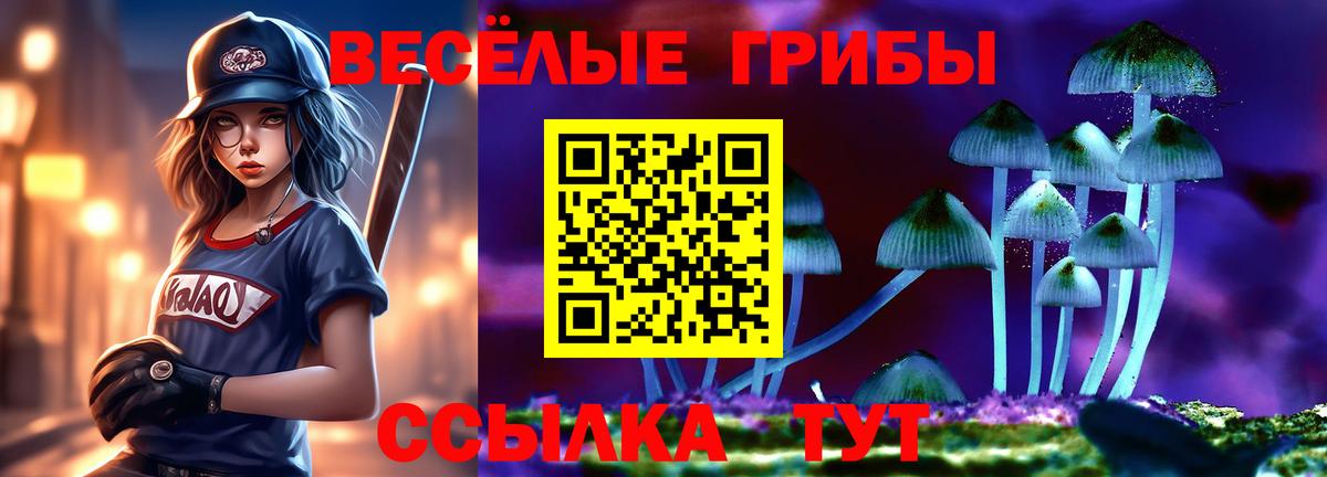 Нефтекамск  Псилоцибиновые грибы Cubensis  Вход с VPN 